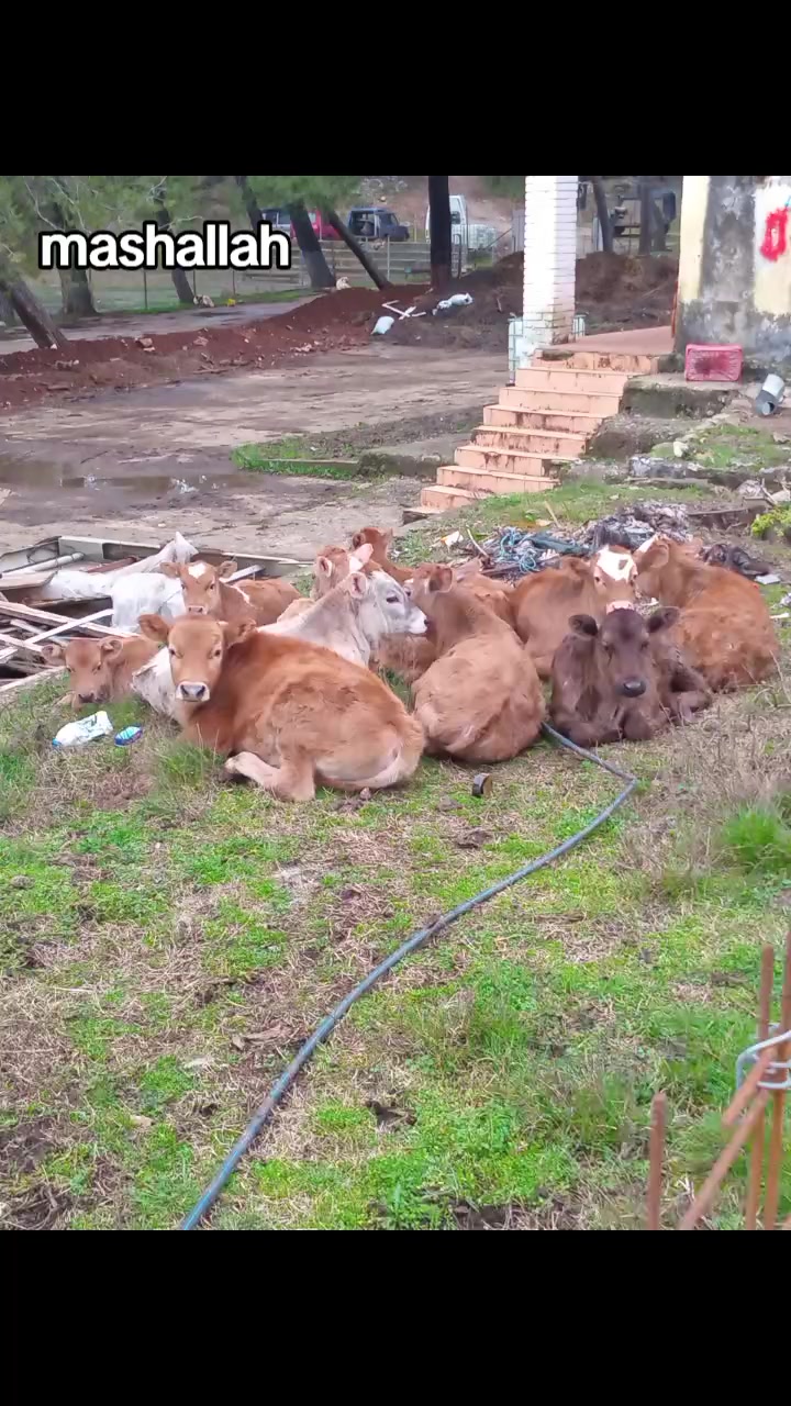@Mǎł&scaron;&iuml;ǎ_ě_ķř&uuml;jẽş