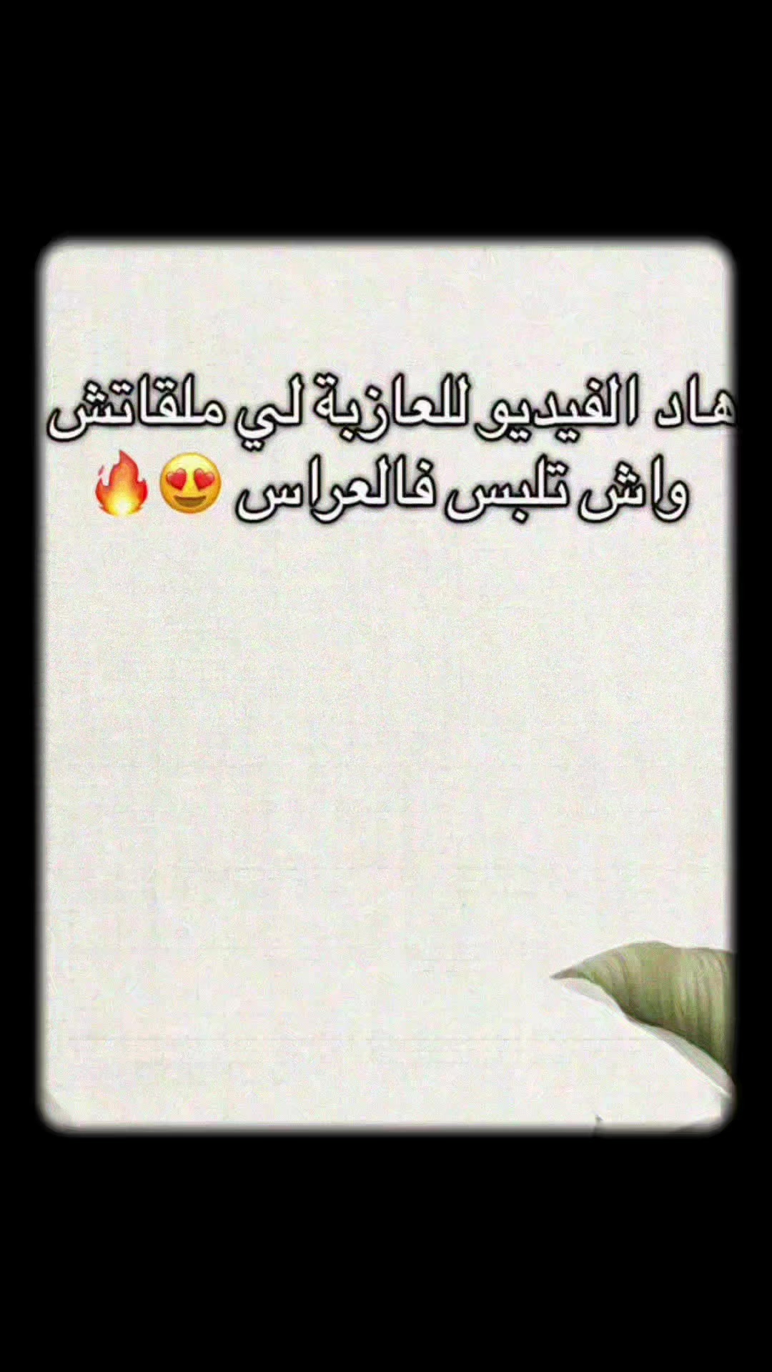@Nour-collection