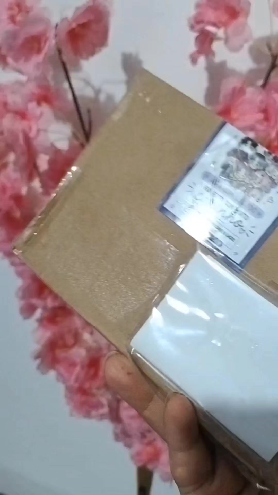 @Beatriz.kang