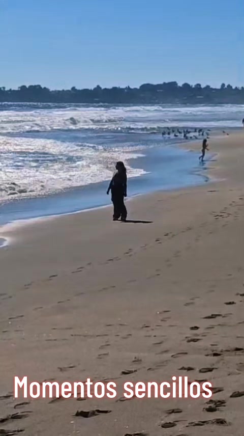 @sirenita de mar