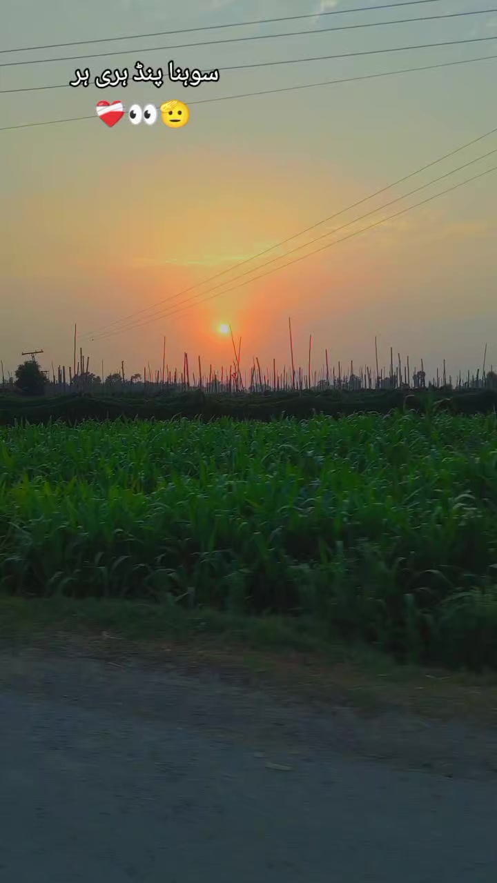 @❤️🩹شانی سندھو 🌱🌾