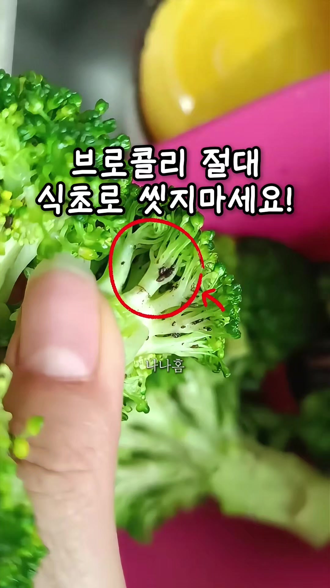@나나홈