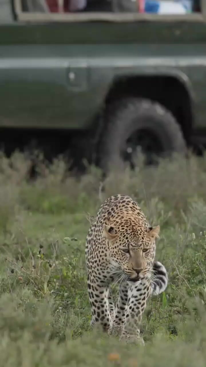 @David_Nature_Africa