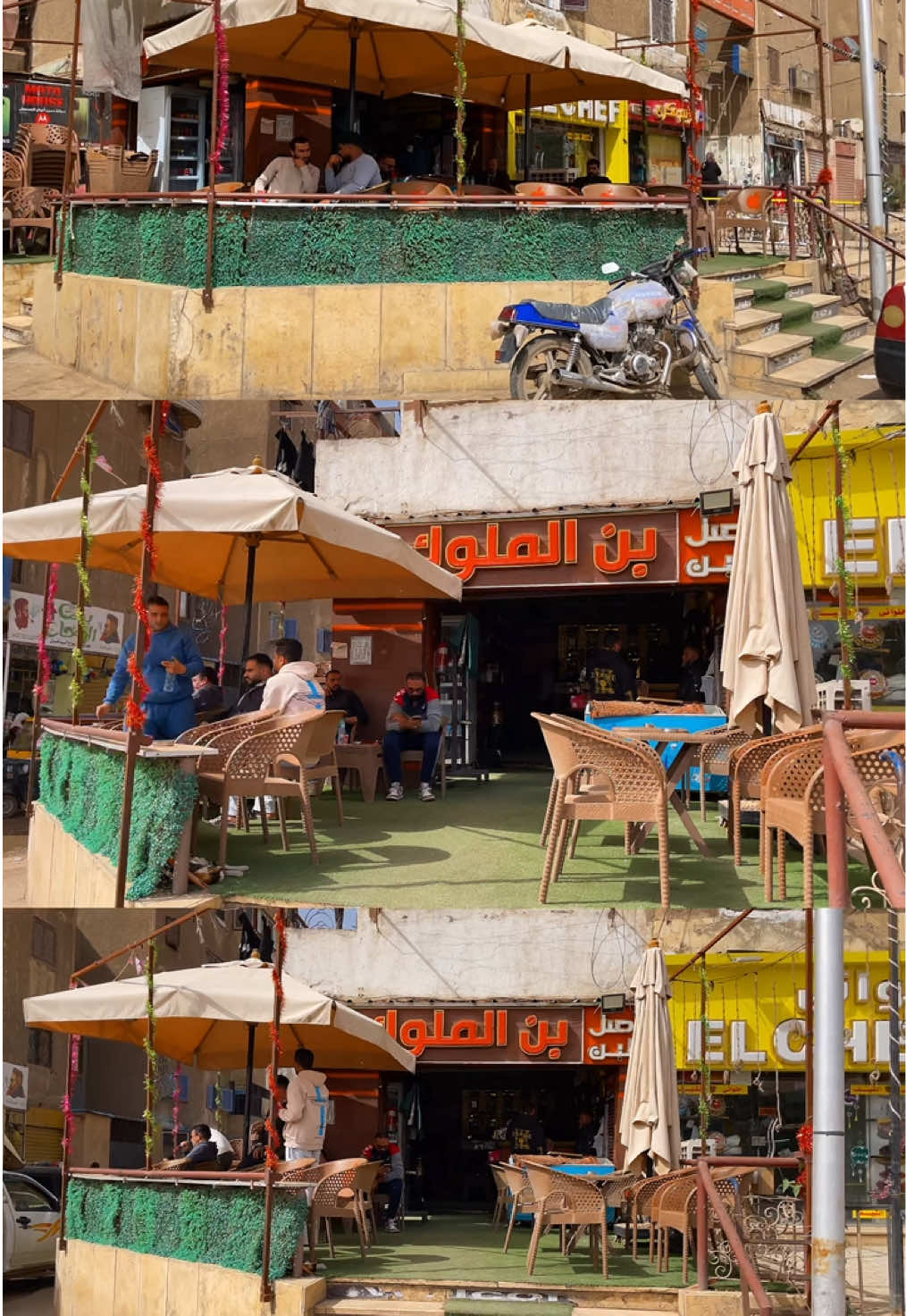 @بن الملوك أصل البن