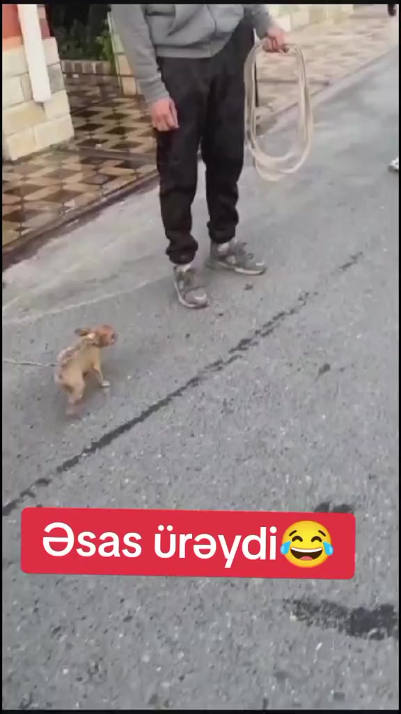 @volkadov_Azərbayjan