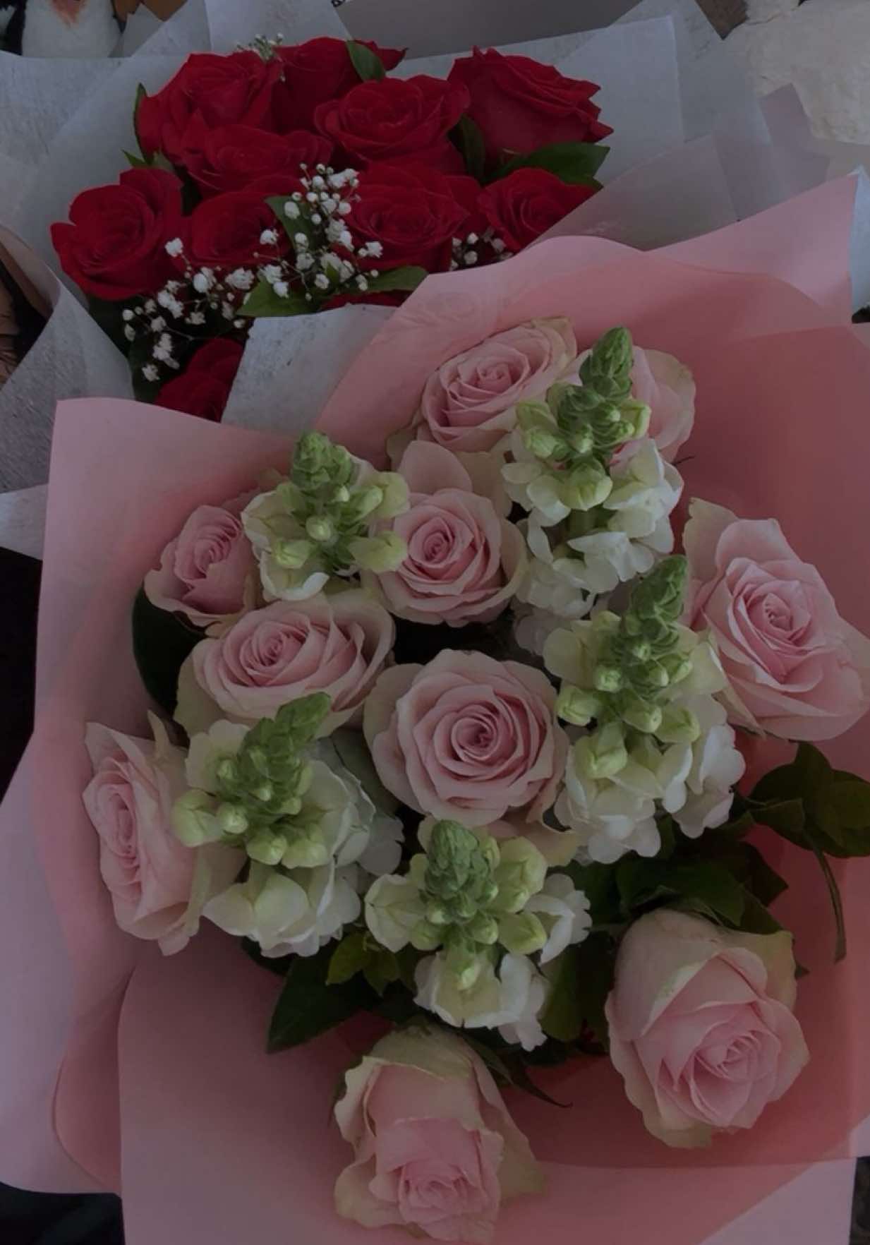@ramilawaiba11