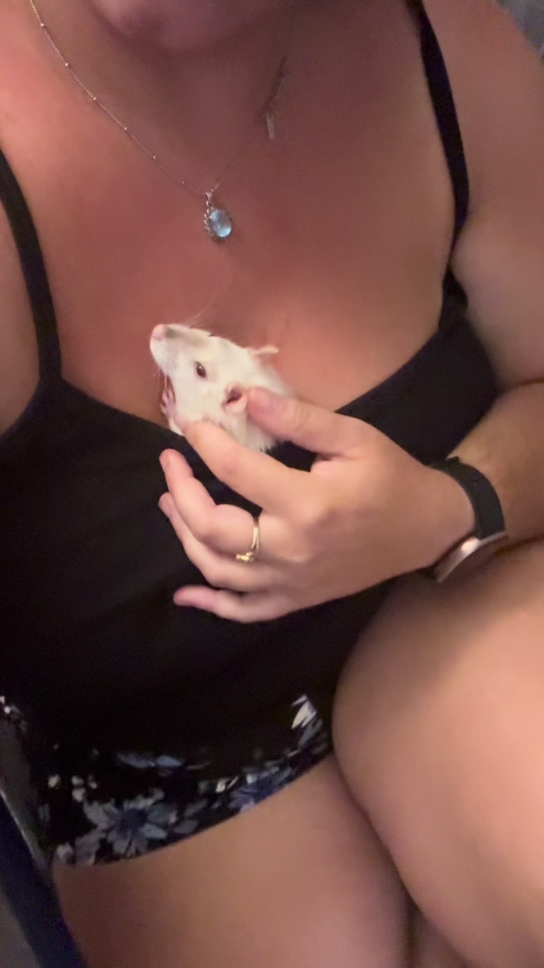 @Liloobi's Mischief