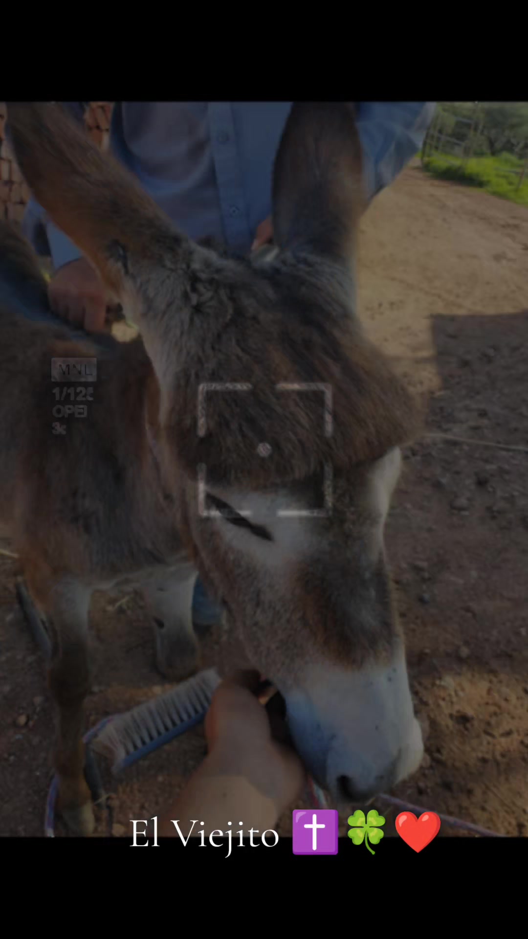 @Viejito Cordova✝️🍀❤️🐎🦅