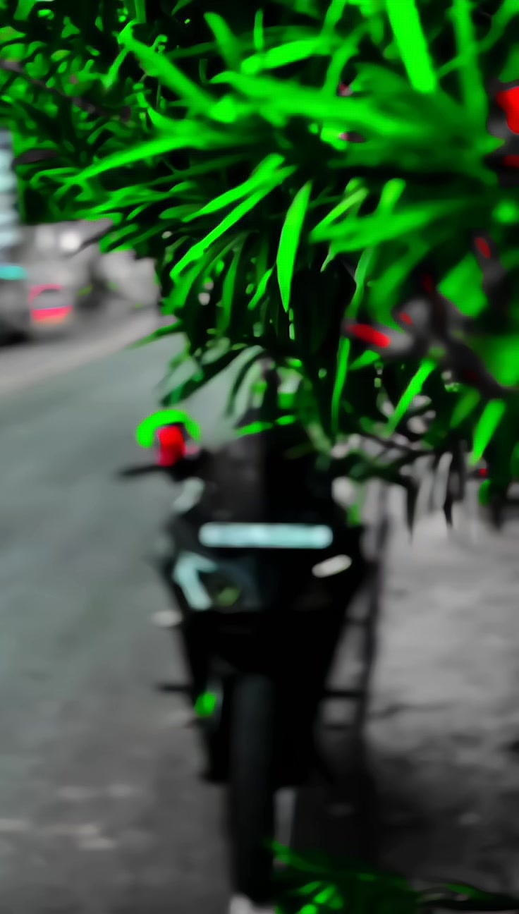 @YAALU ⚡🧿