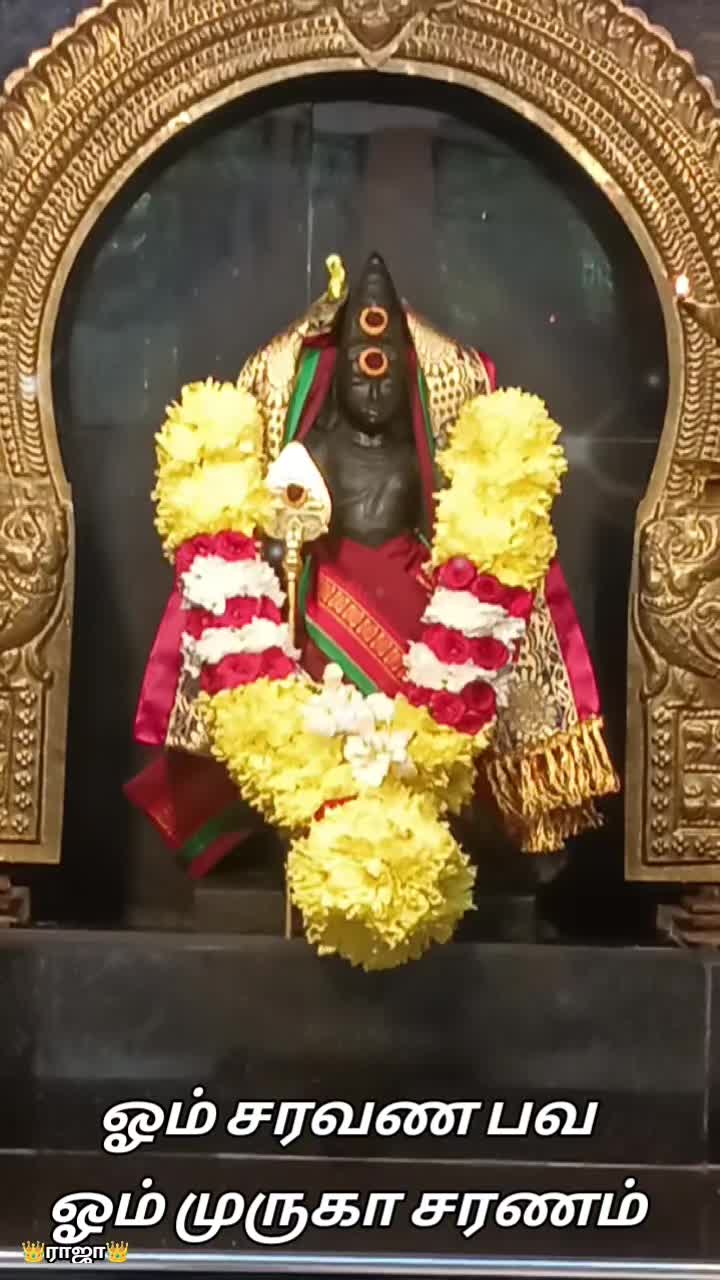 @sree_raj