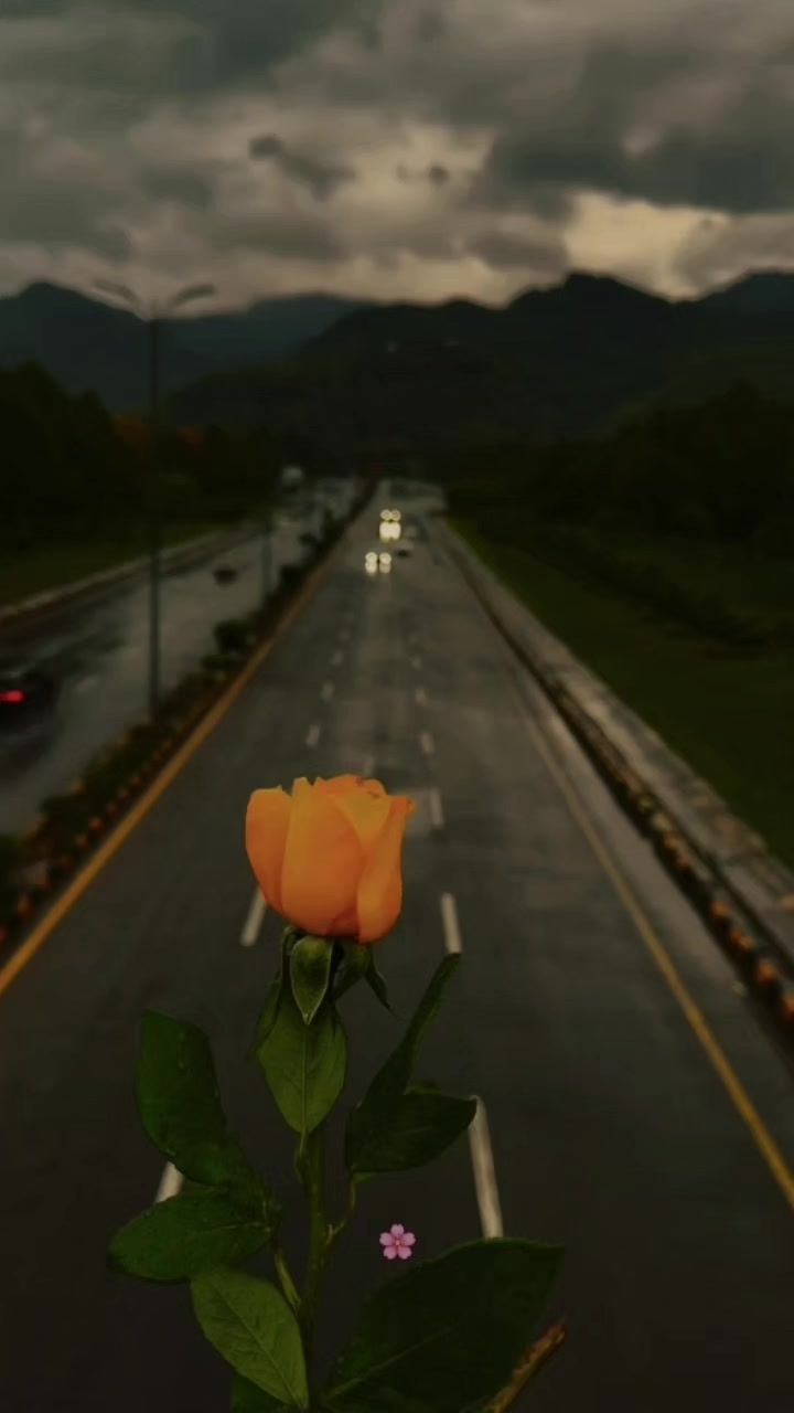 @꒰ঌ🌸໒꒱