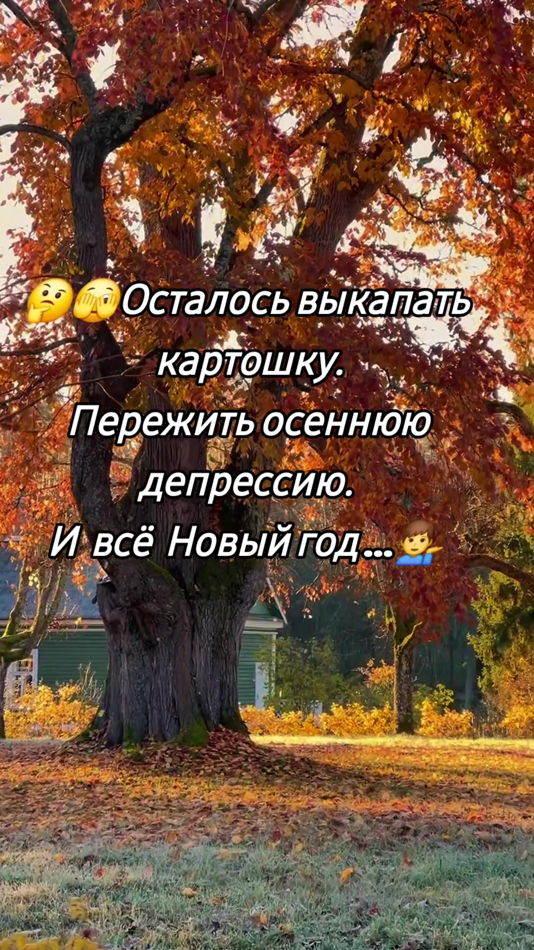 @🇰🇿🌺🌸Нᴀᴛᴀᴧья🌸Kz.16_ukg👋🤝
