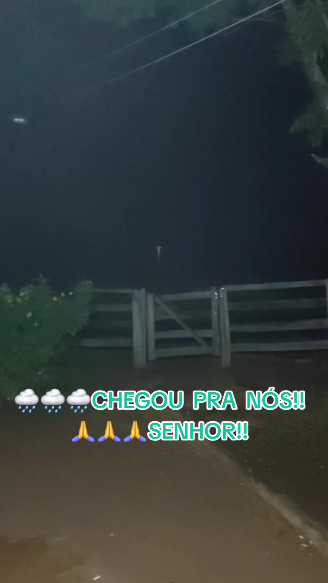 @Kátia Patris