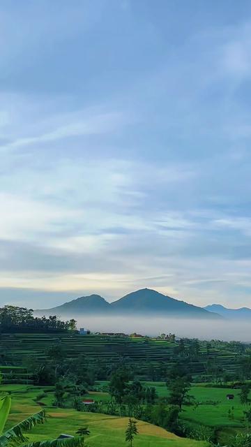 @Tukang Ngabolang