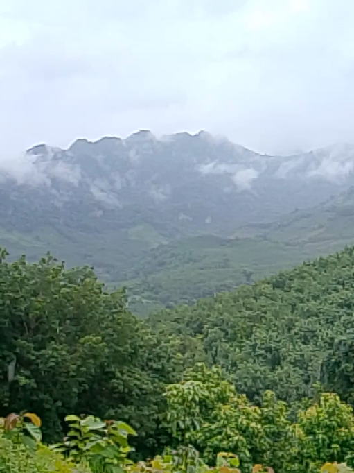 @wong-win win