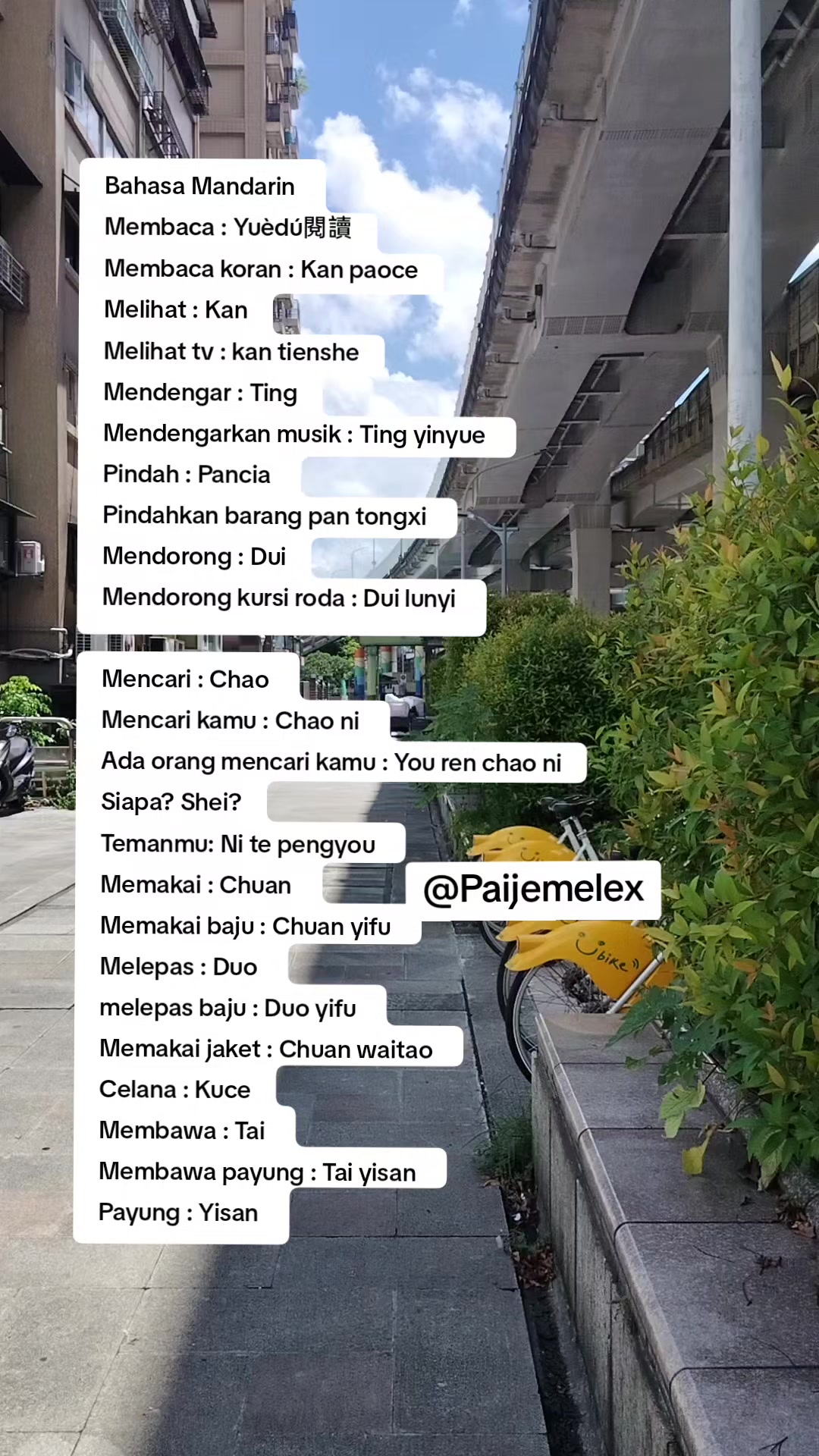 @paijemelex