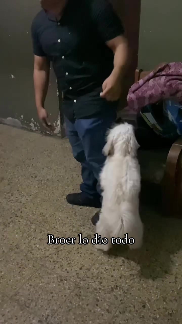 @Atoxe