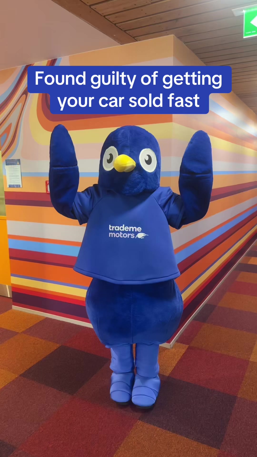 @Trade Me