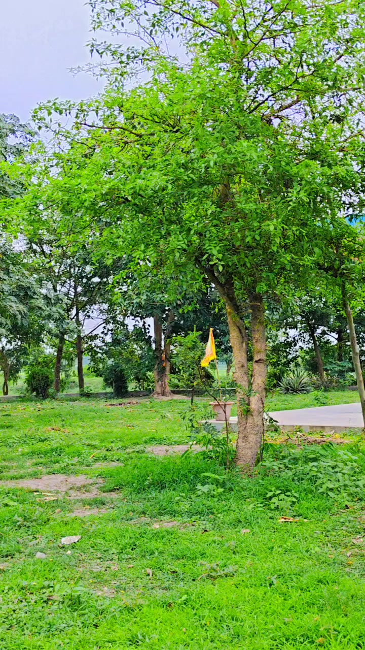 @Mithun Rajbanshi