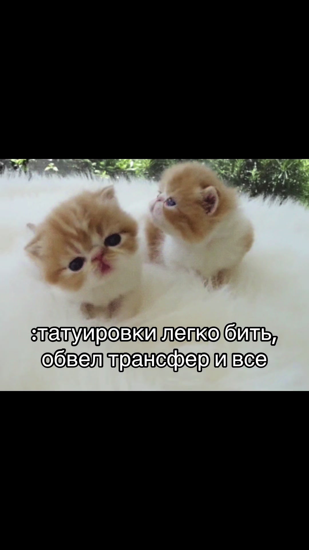 @тгк: millipede.art | тату СПБ