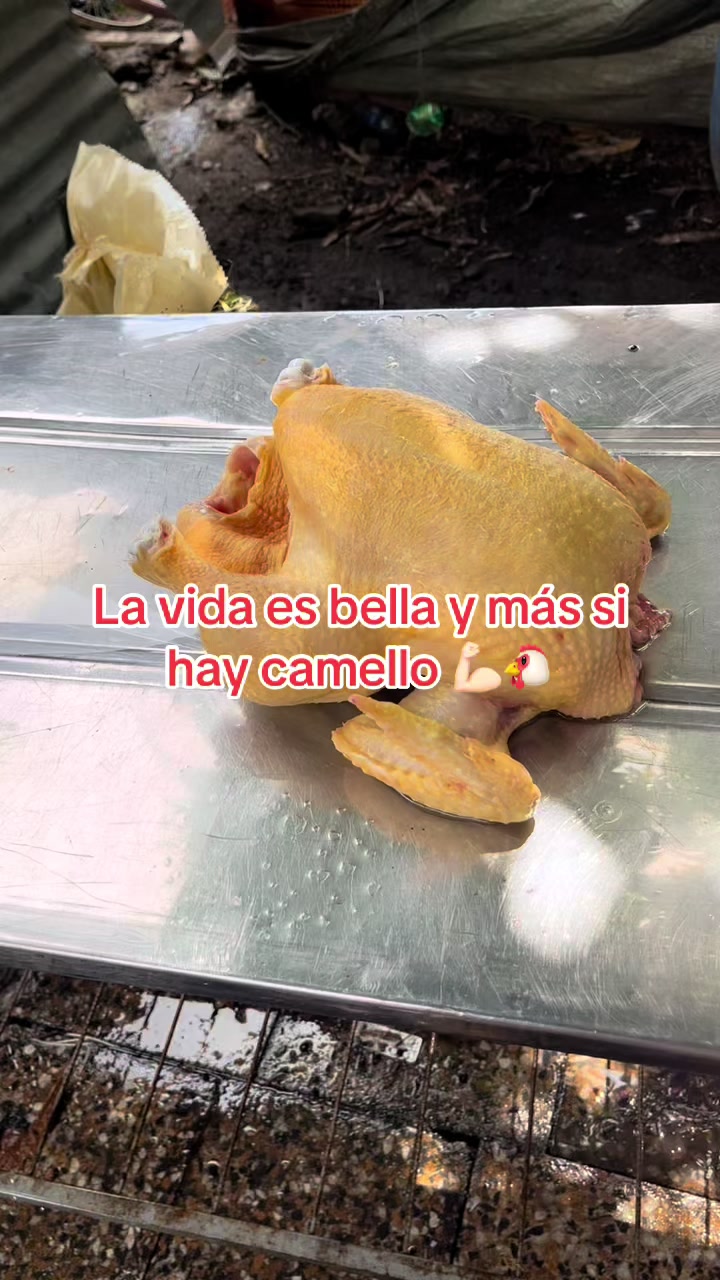 @elmagnatedelospollos