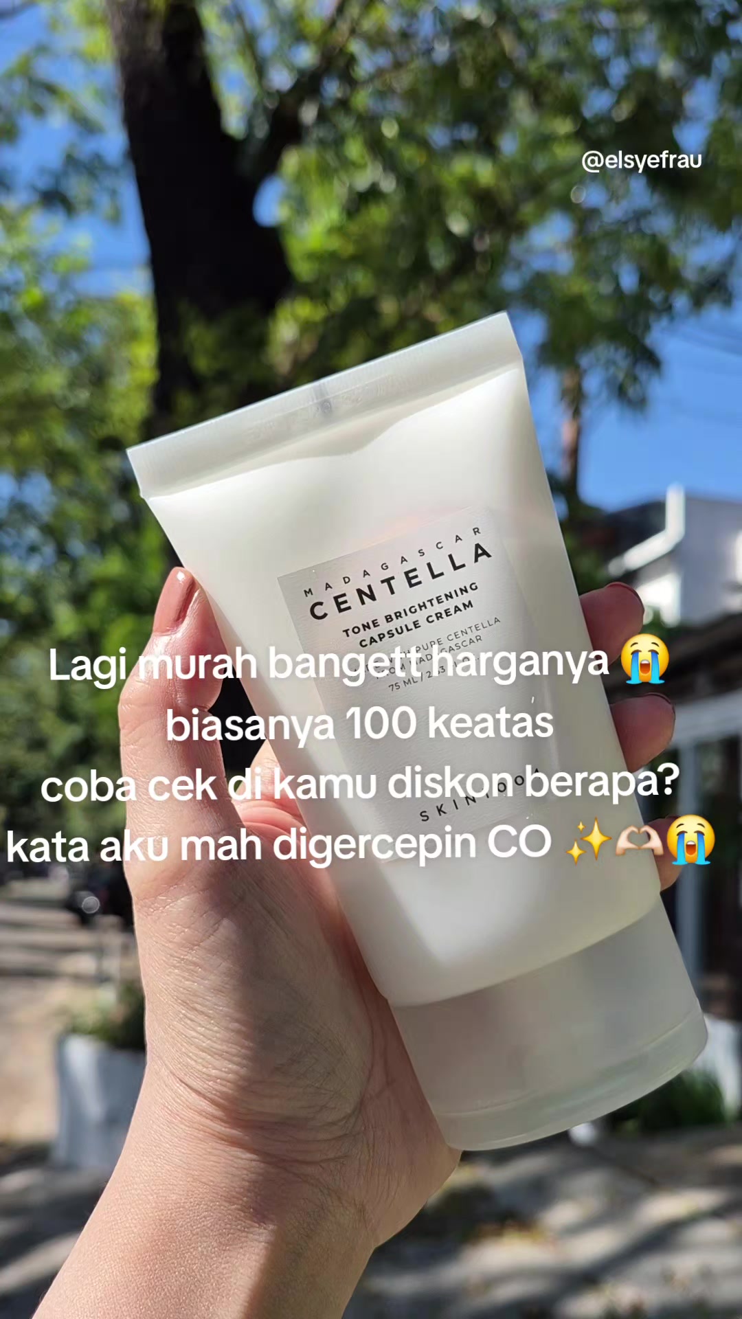 @Elsye F Siregar