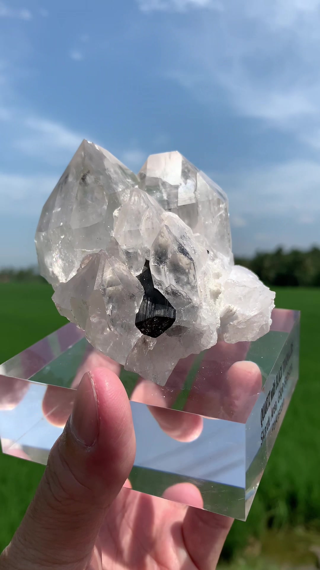 @Pocket of Crystals