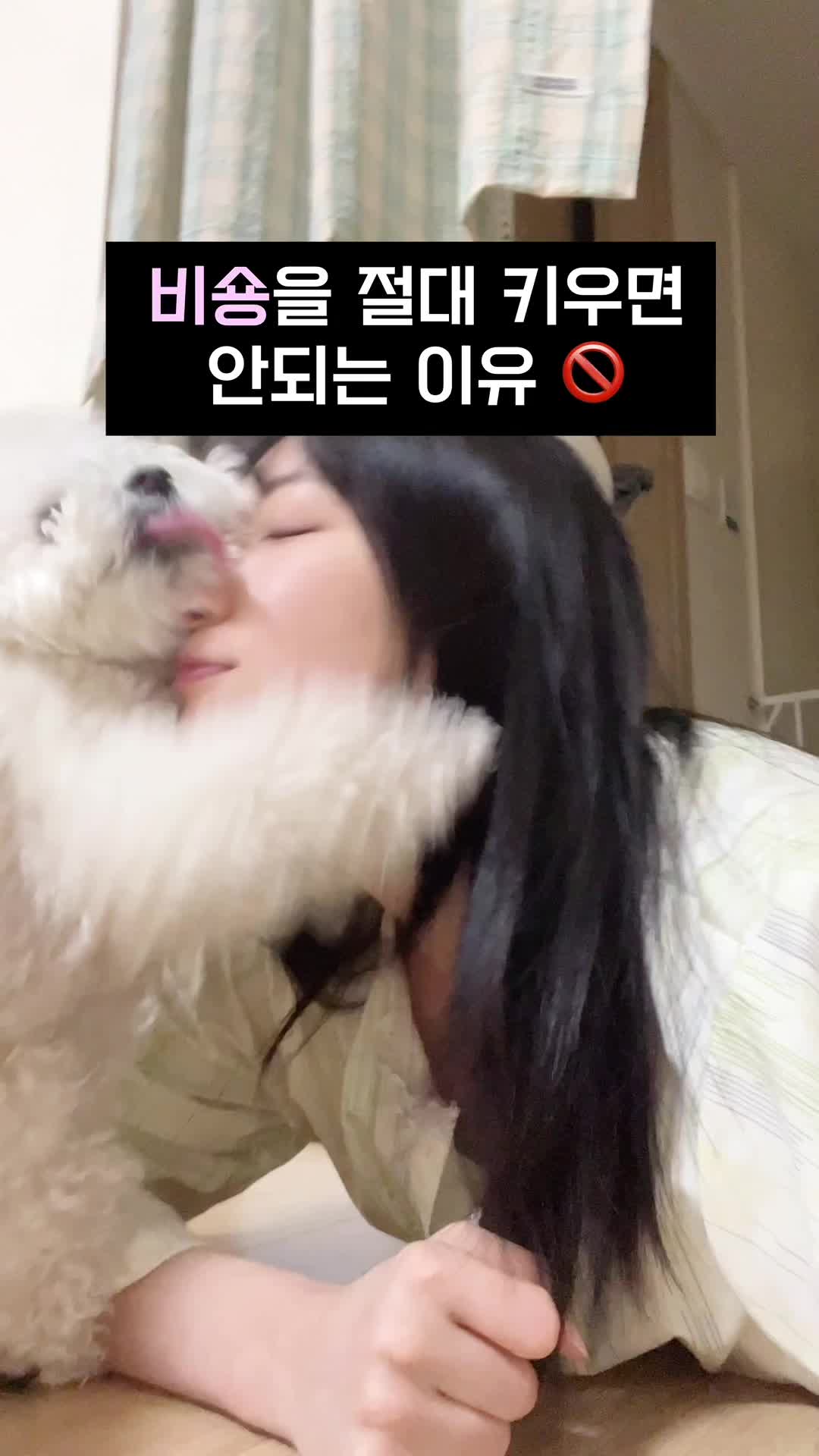 @시은니야