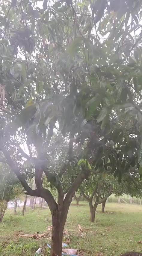 @స్రవంతి....💘