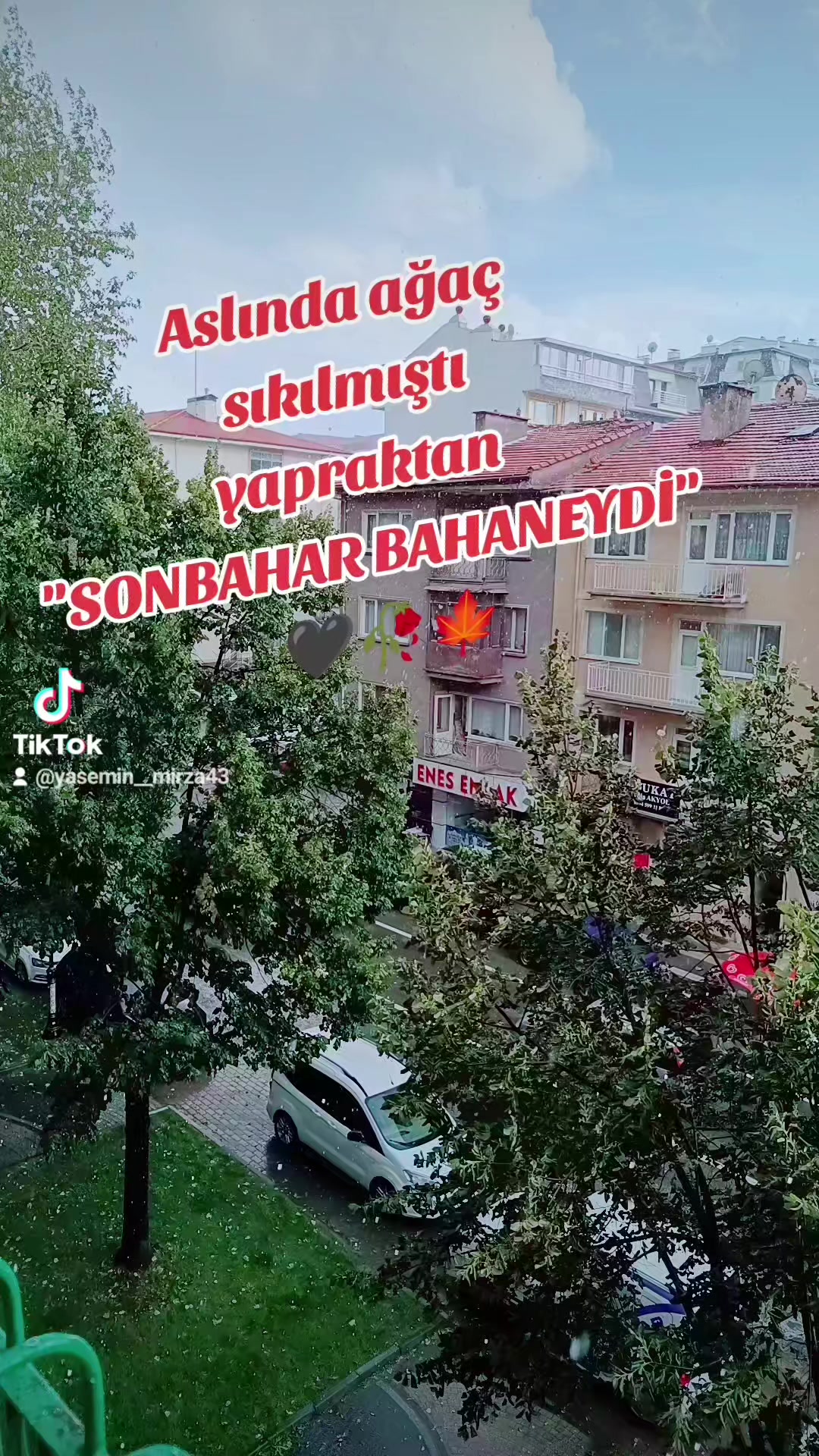 @😇yasemin_mirza43😇