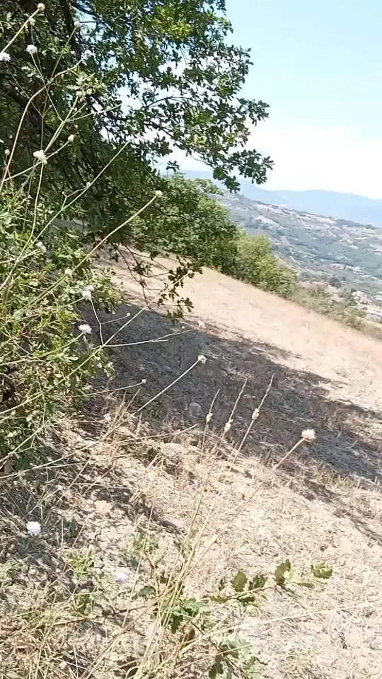 Emilia Di Giovanni (@leonessa716) - Urlebird