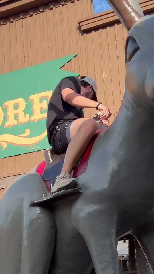 viral videos trending now #viral 