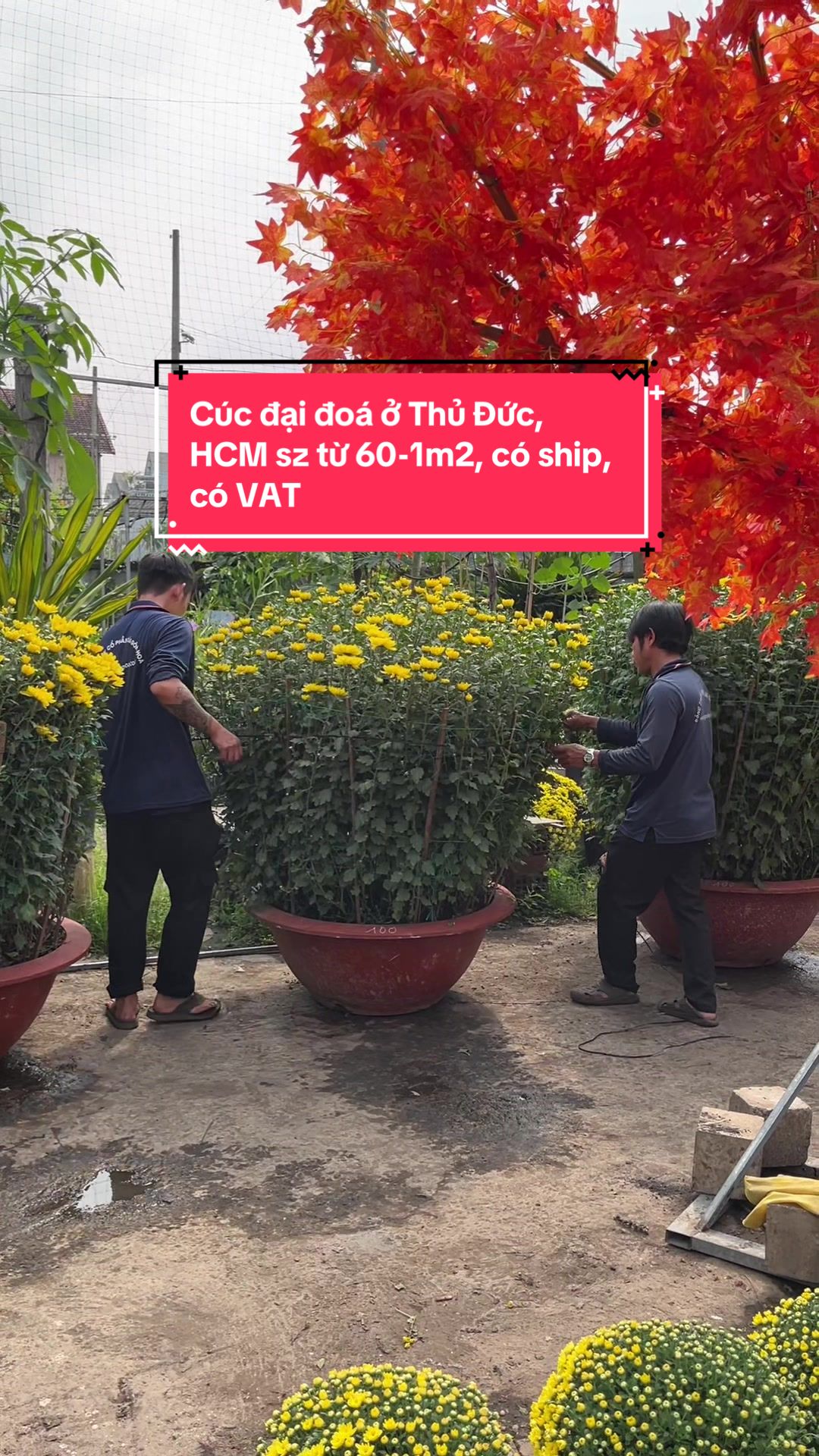 @S&agrave;i G&ograve;n Hoa