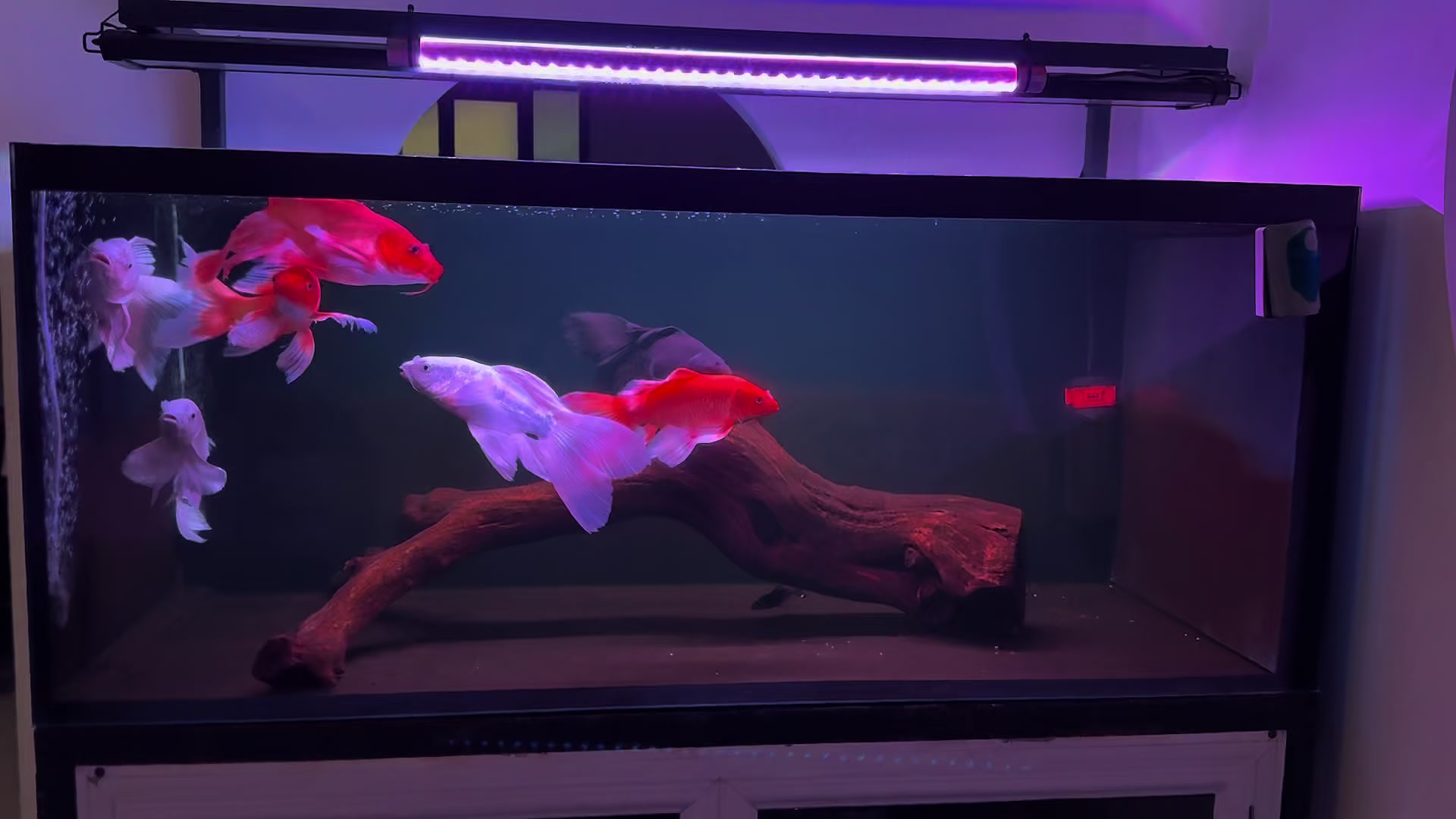 @Cứ Gọi L&agrave; BiKem 😘