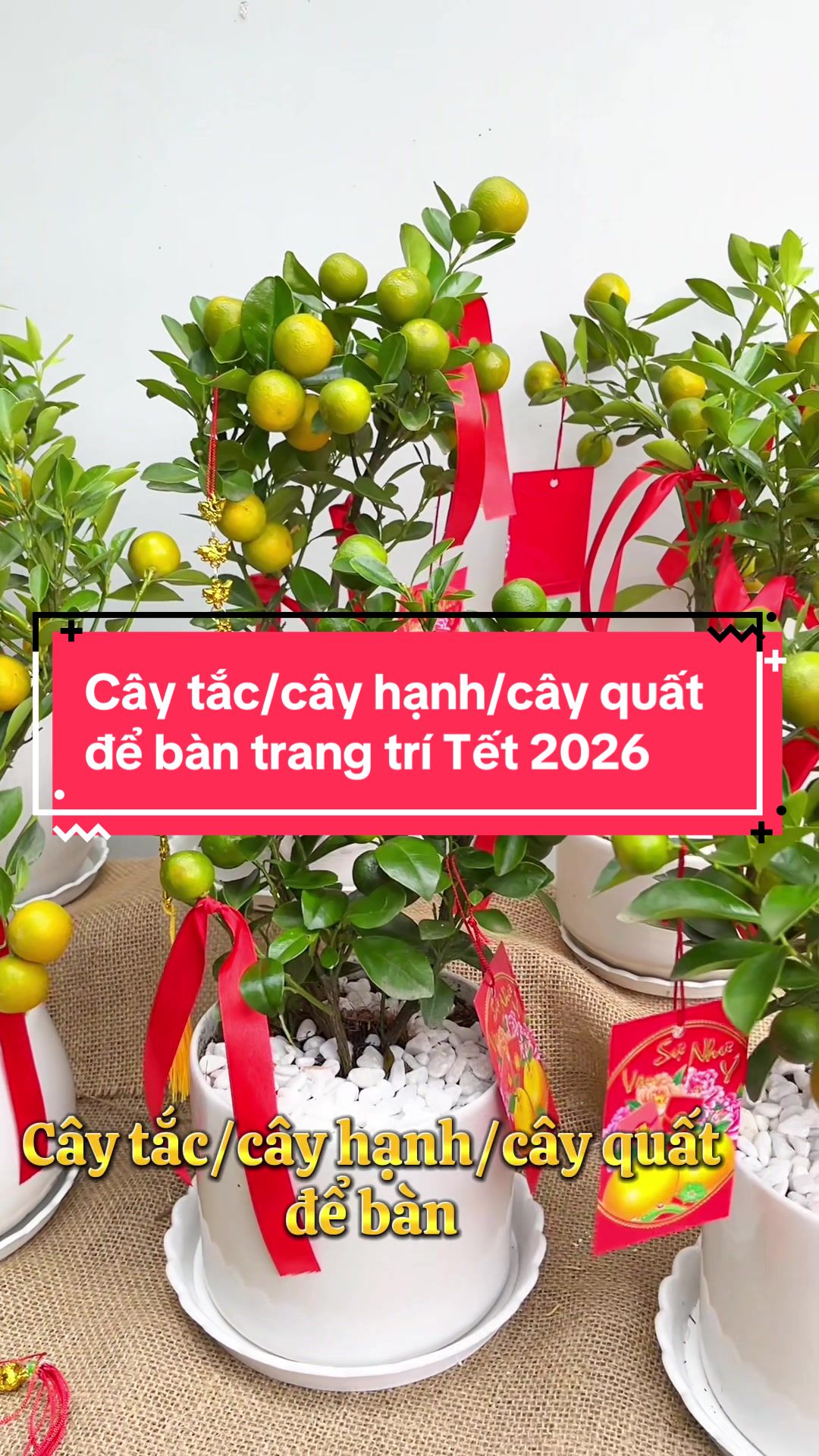 @S&agrave;i G&ograve;n Hoa