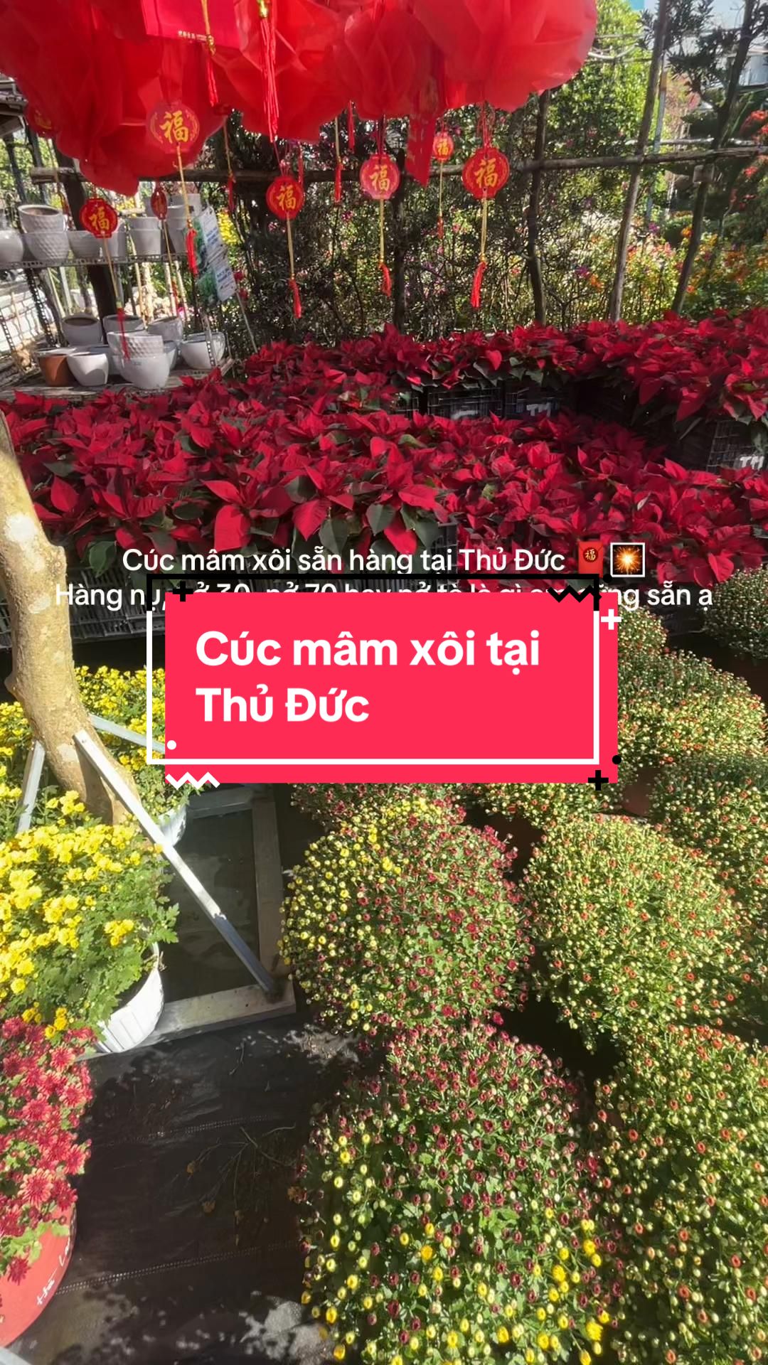 @S&agrave;i G&ograve;n Hoa