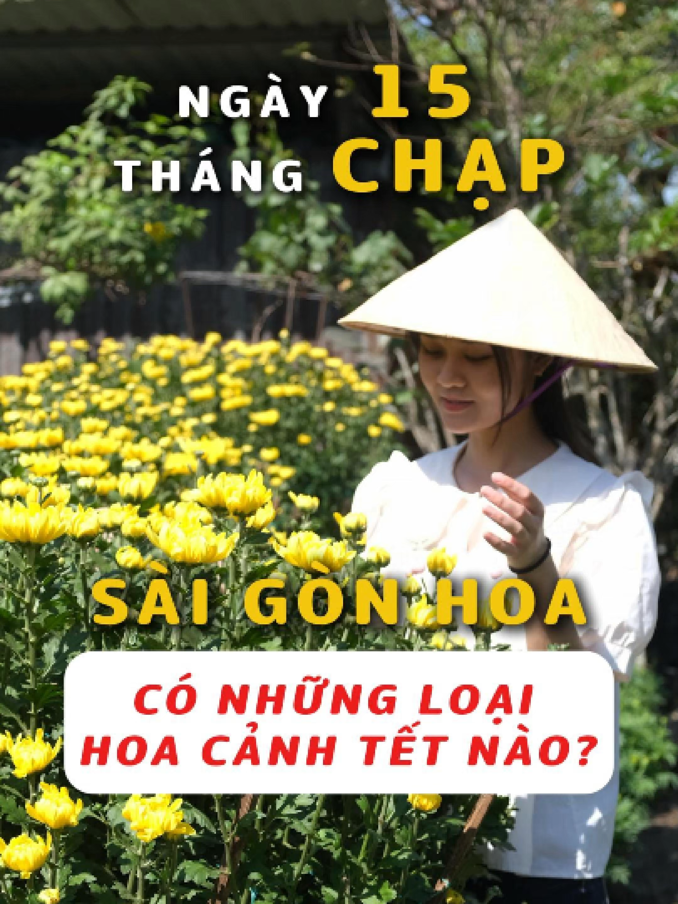 @S&agrave;i G&ograve;n Hoa