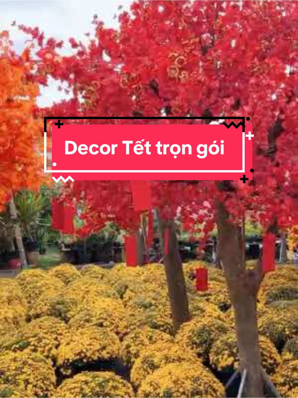 @S&agrave;i G&ograve;n Hoa