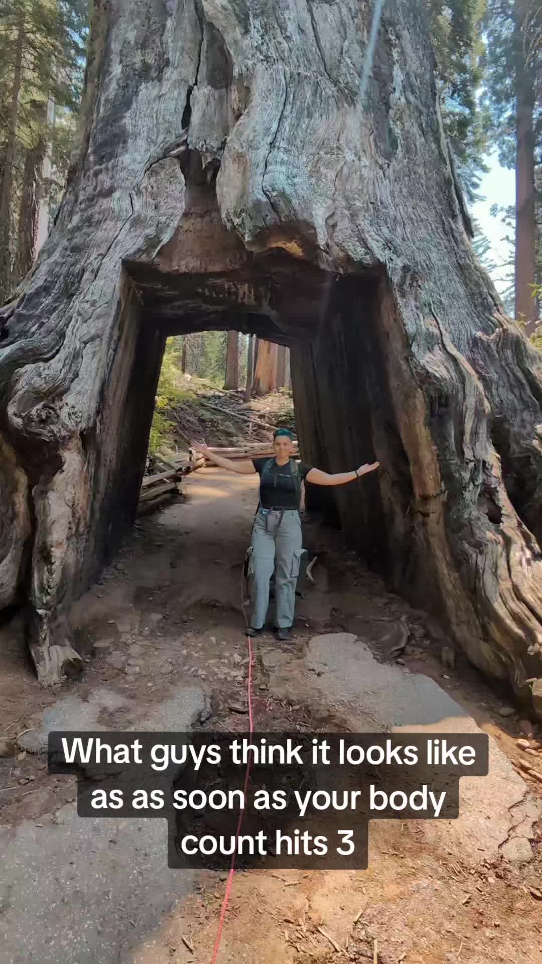 Kit the Beefcake (kitthebeefcake) Urlebird