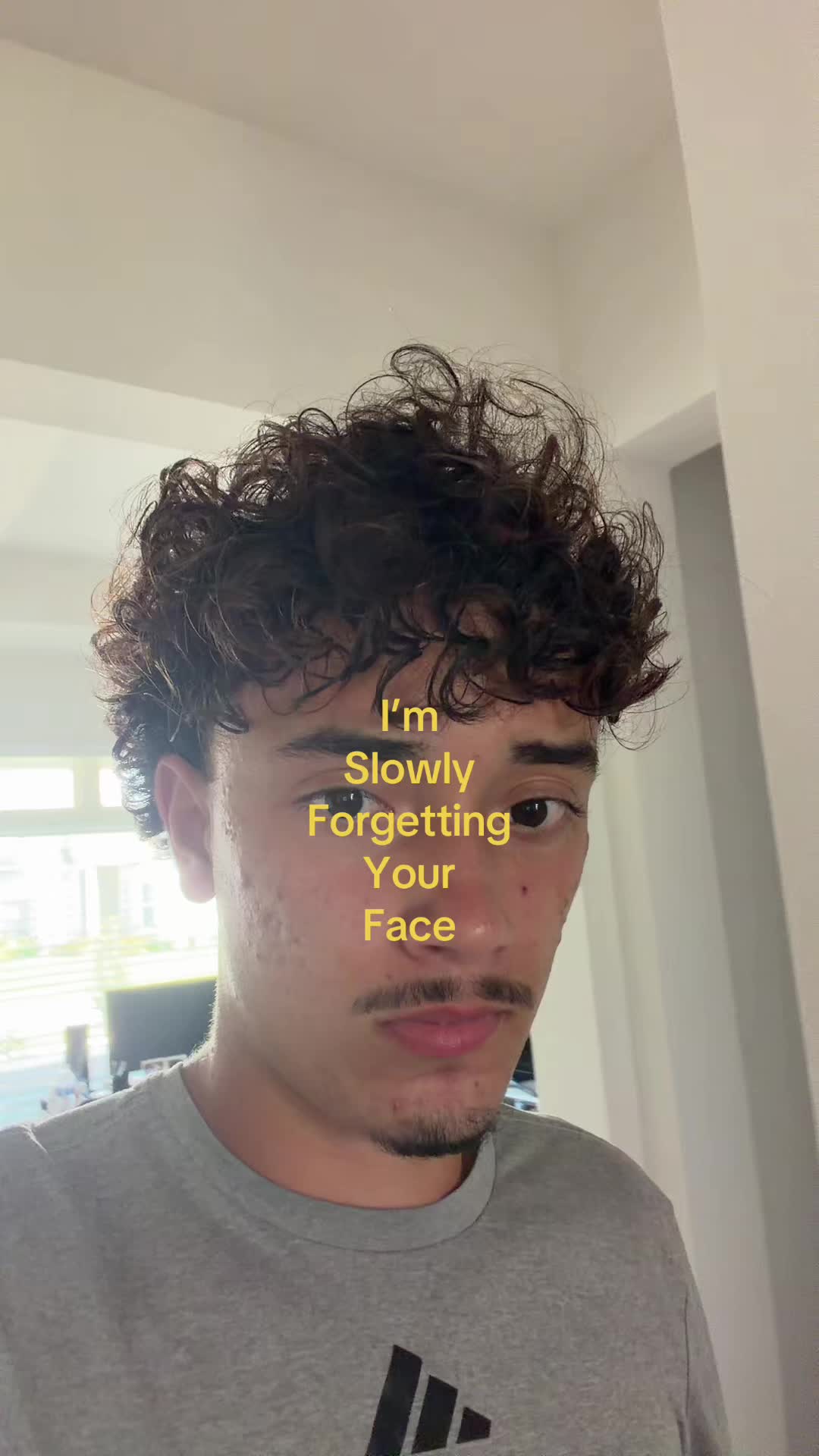 @seba