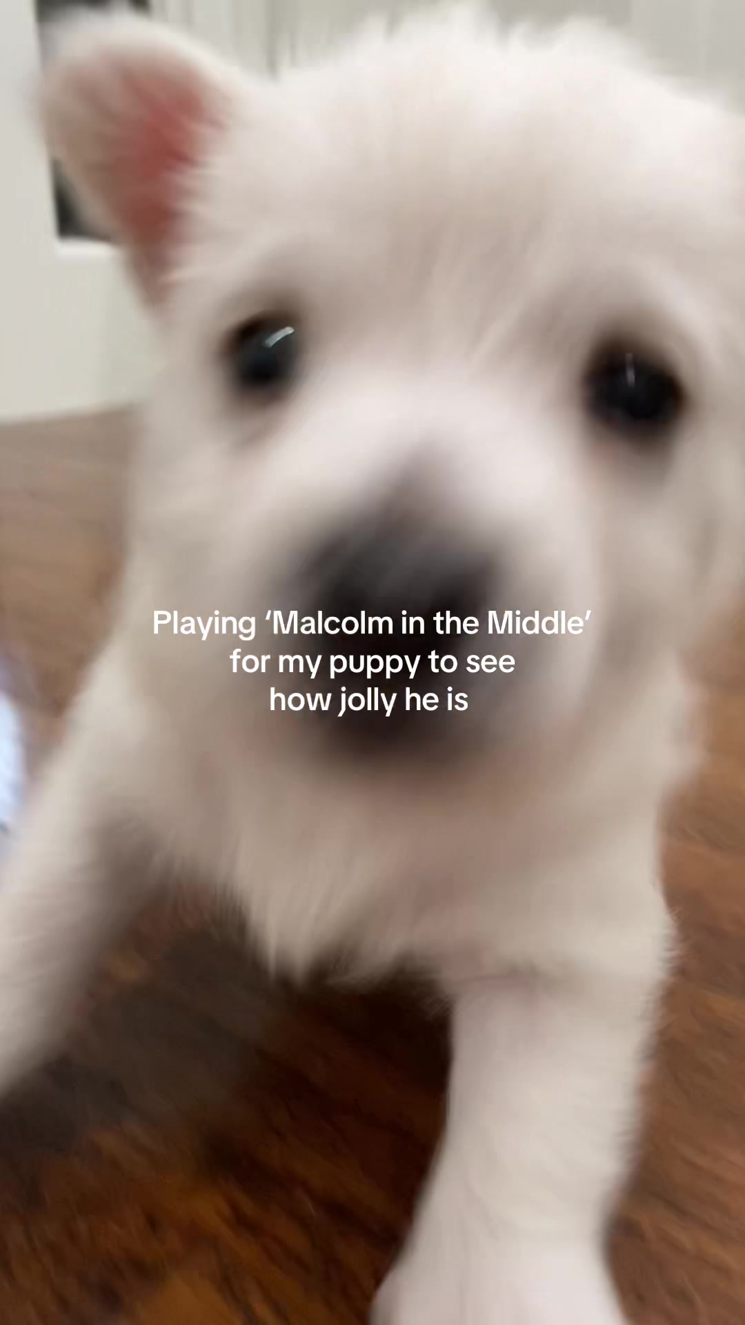 @malcolm is my goat