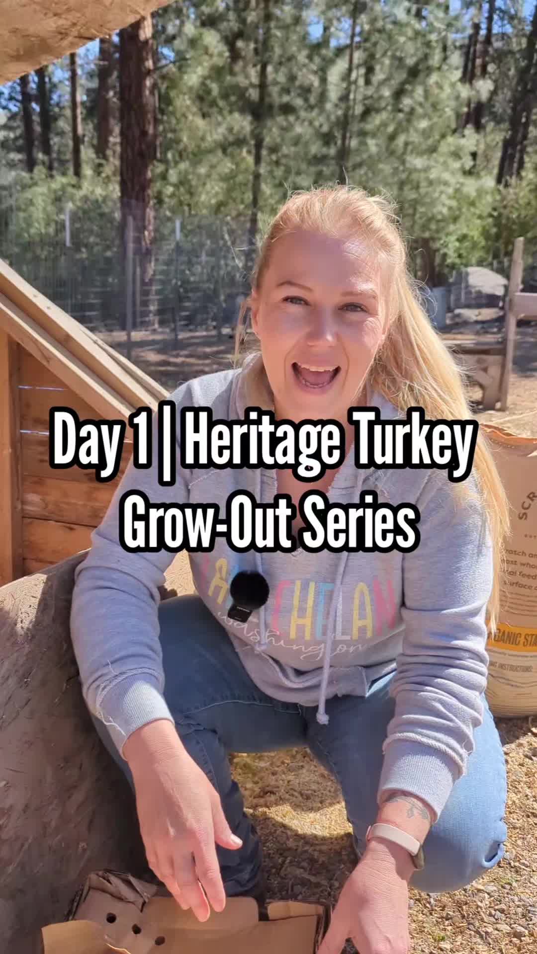 @MountainSpringHomestead