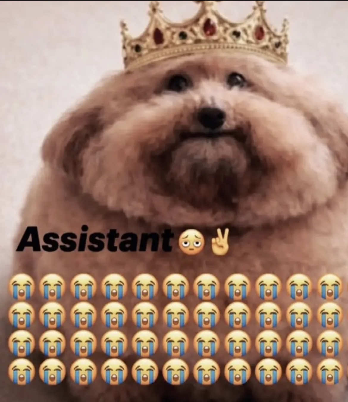 @โญ ๐ธ๐๐๐๐๐ โญ