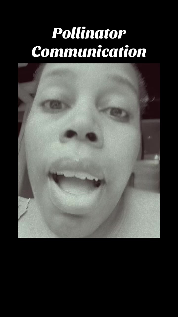 @Shante Schuler899