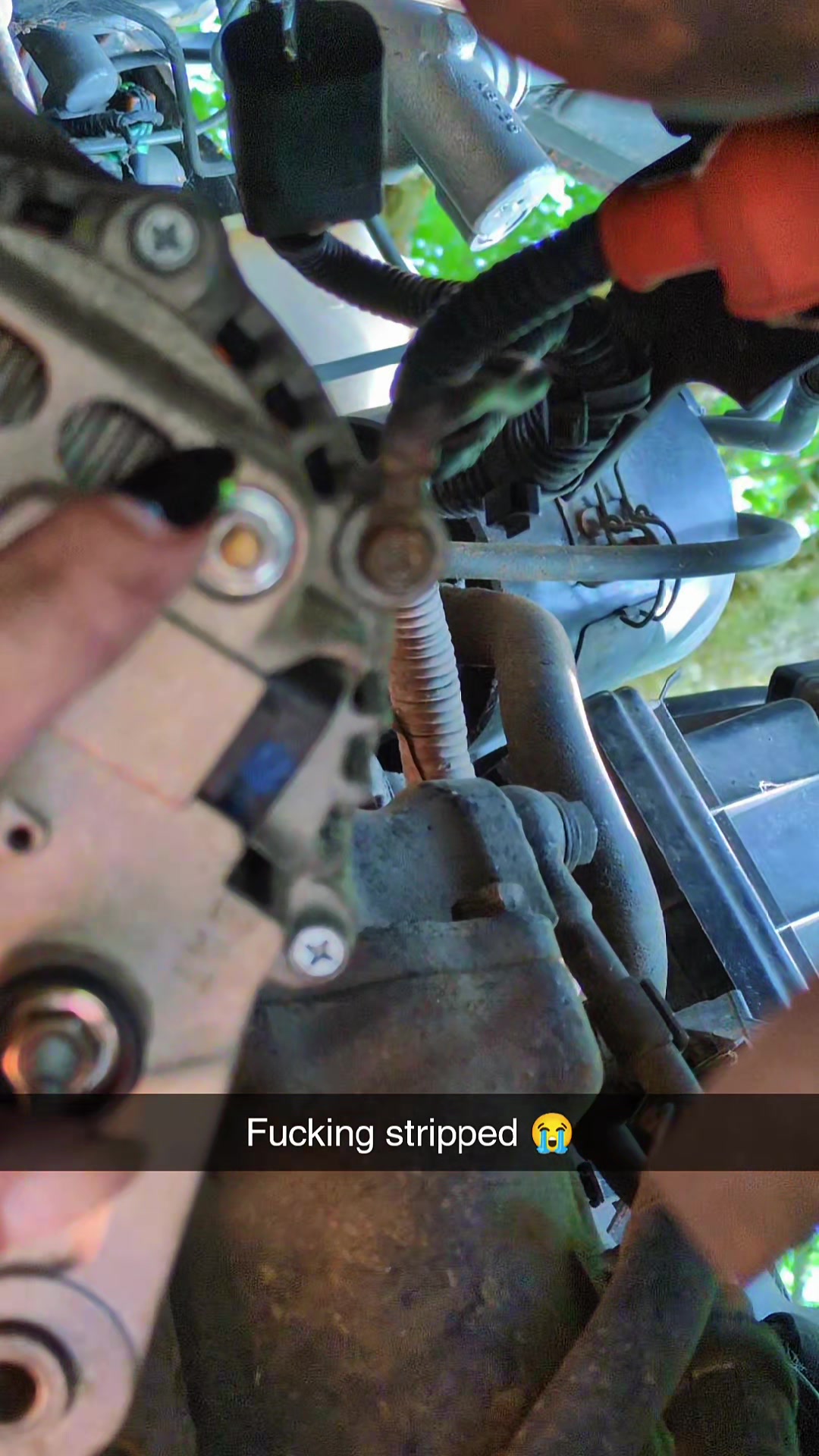 @Sporezilla666