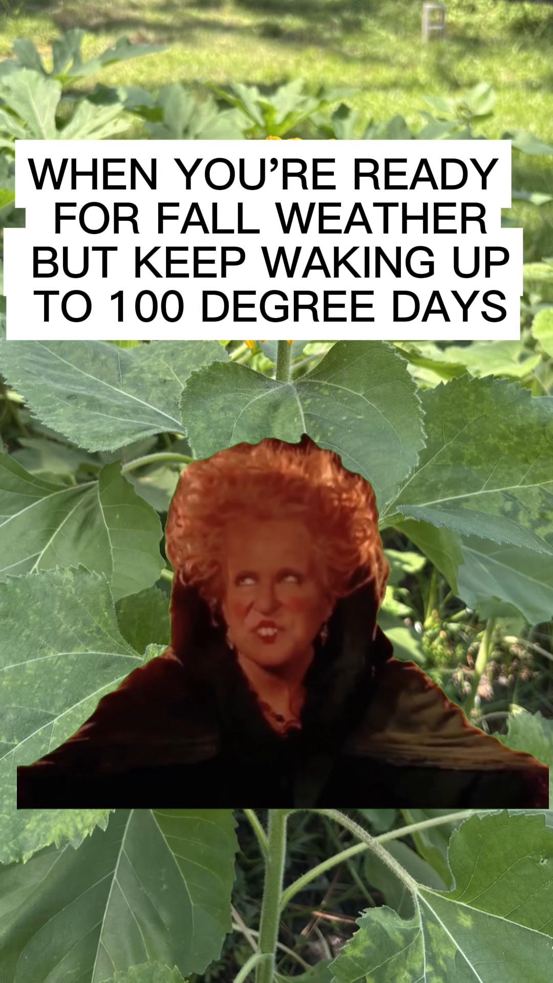 @Boredouttamymind