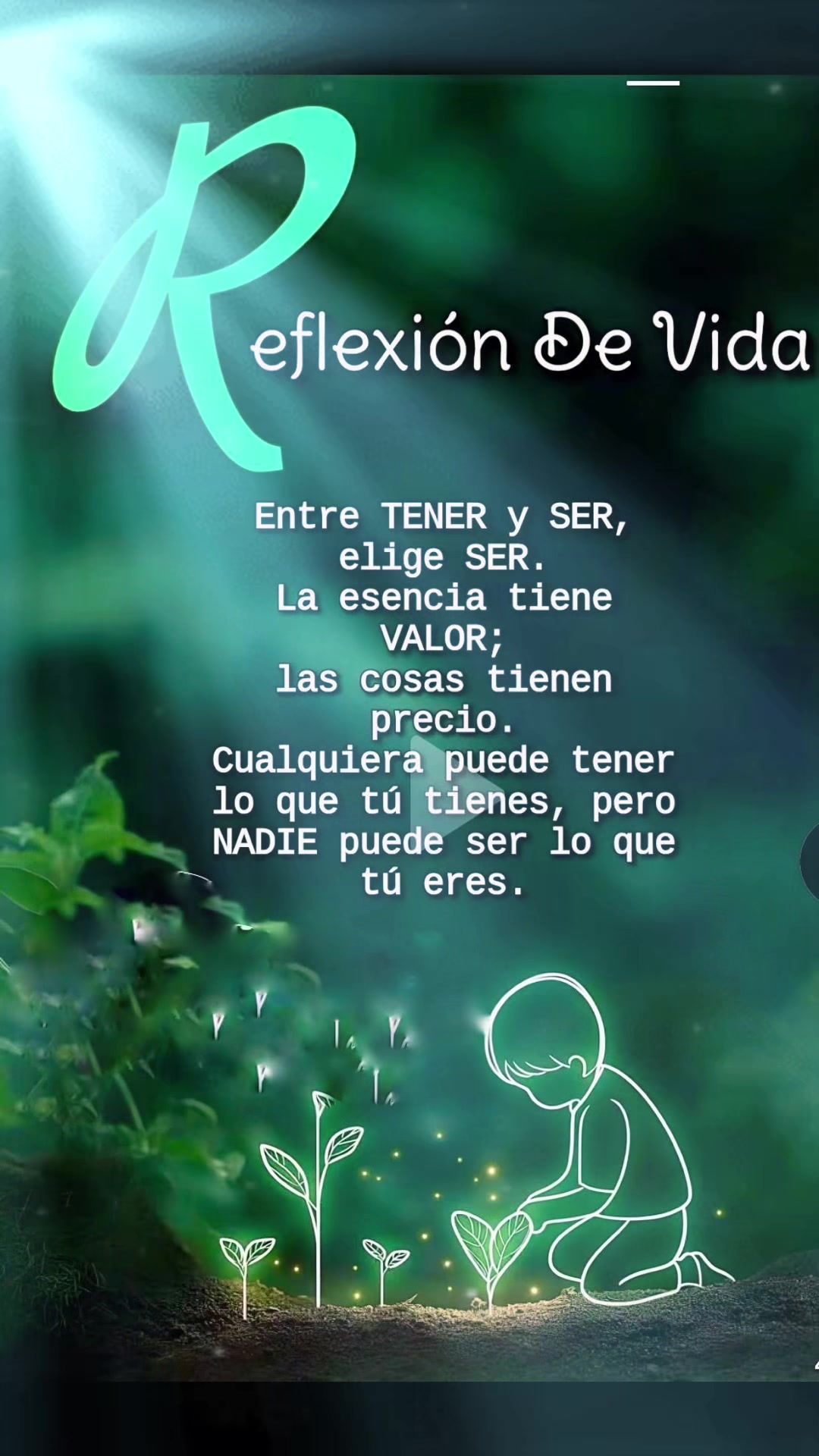 @elvirasvg