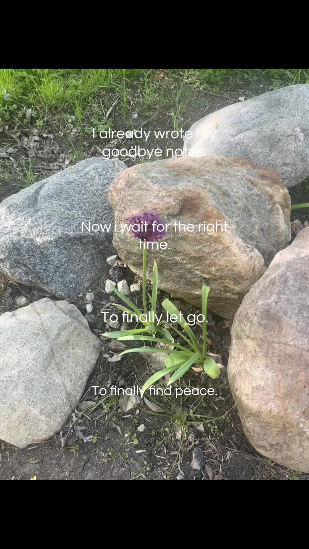 @.