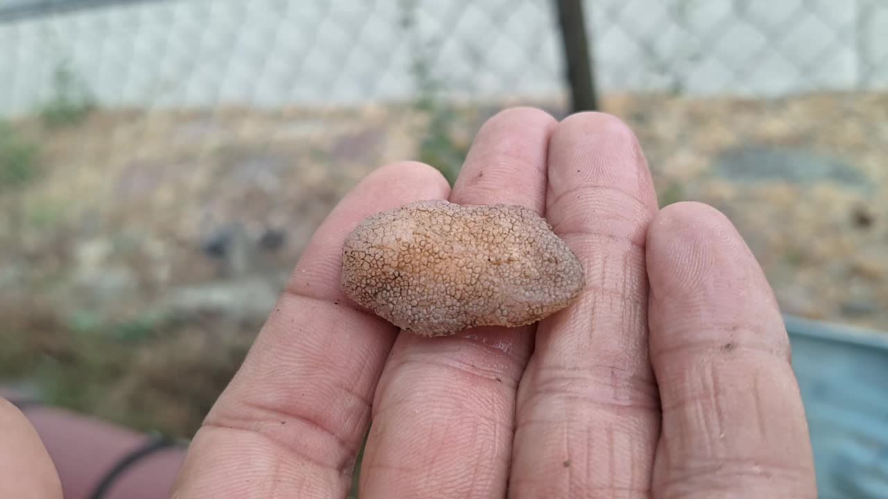 @Nevada HIGHDesert