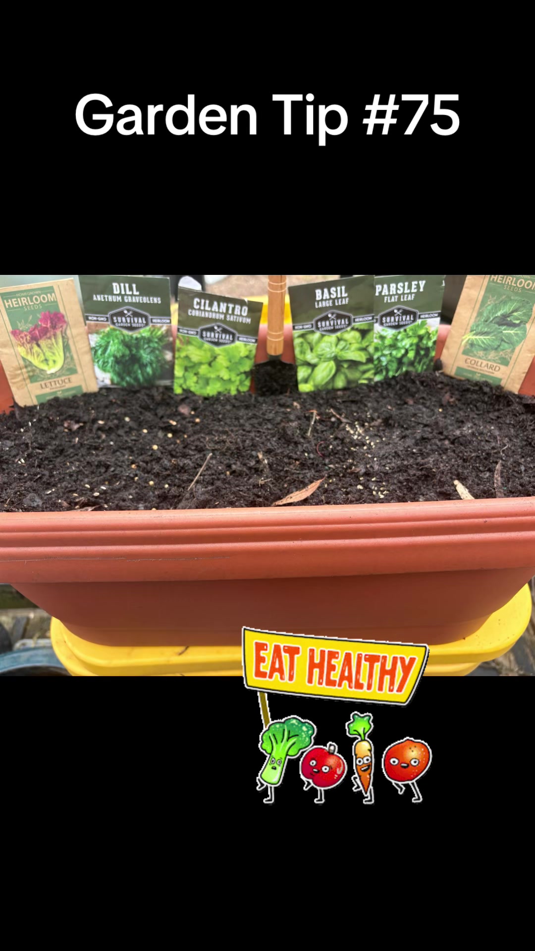 @greengirlgardens